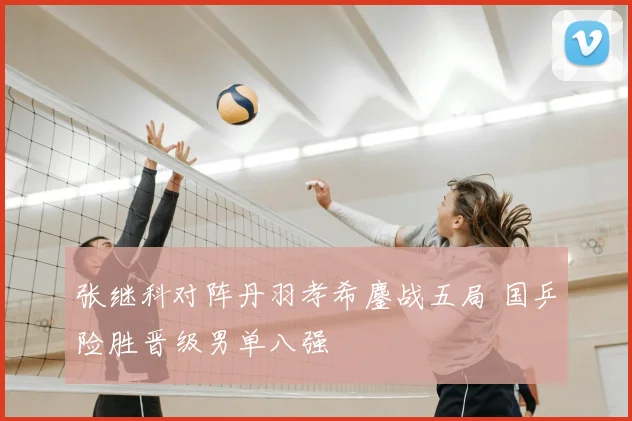 张继科对阵丹羽孝希鏖战五局 国乒险胜晋级男单八强