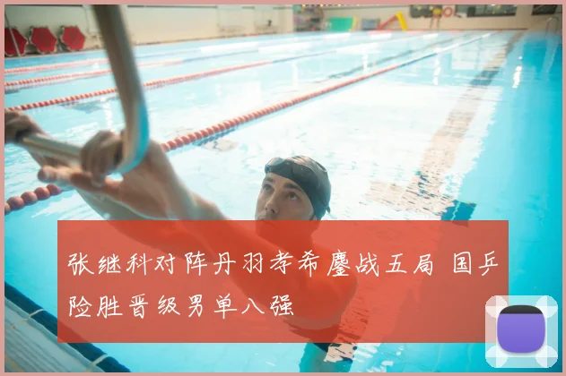 张继科对阵丹羽孝希鏖战五局 国乒险胜晋级男单八强