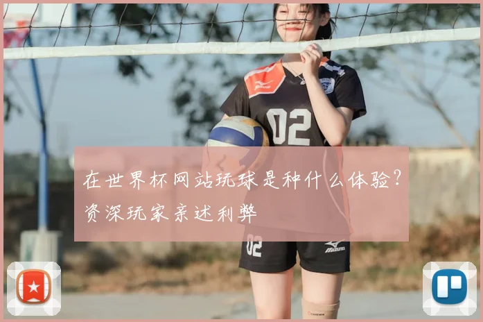 在世界杯网站玩球是种什么体验?资深玩家亲述利弊