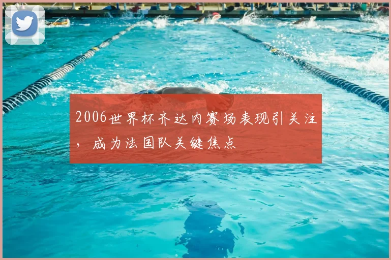 2006世界杯齐达内赛场表现引关注,成为法国队关键焦点