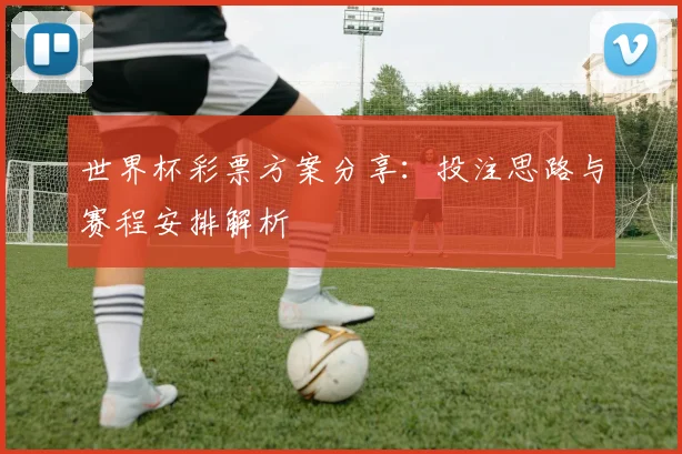 世界杯彩票方案分享：投注思路与赛程安排解析